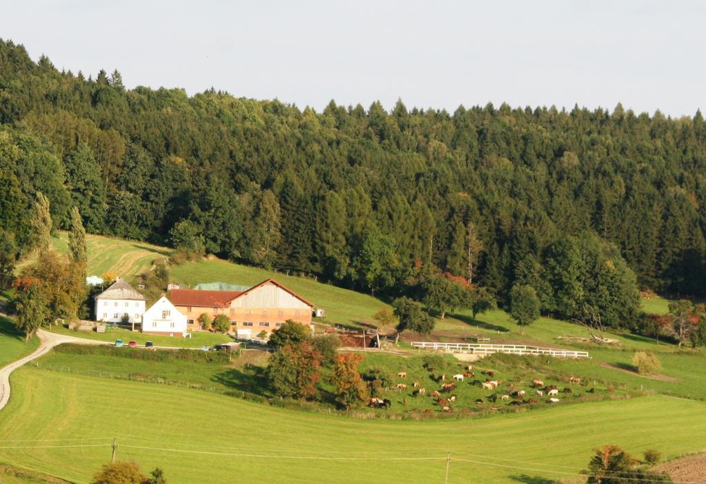 Pferdehof Koaser Minerl Ampflwang im Hausruckwald Exterior photo